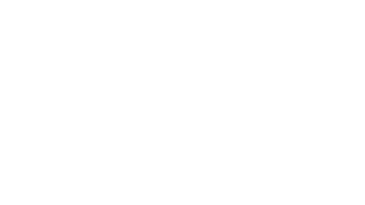 Vietnam Elevator Association